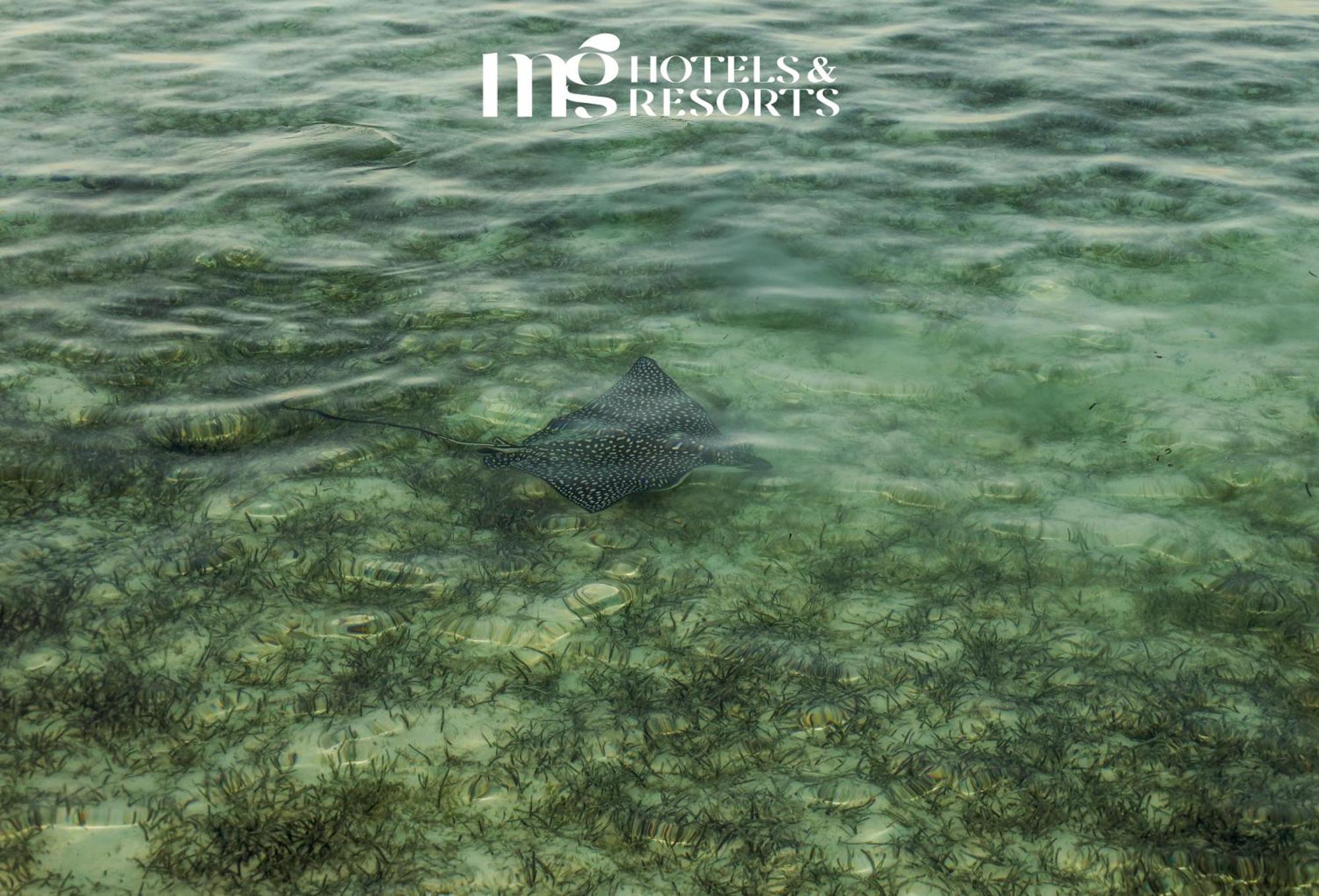 Mg Alexander The Great Hotel Marsa Alam ภายนอก รูปภาพ